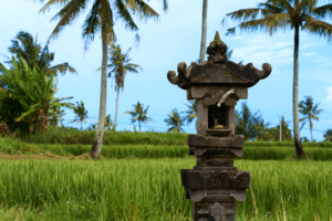 bali laws