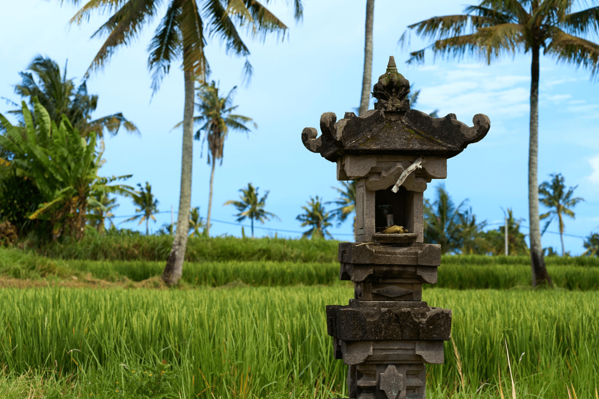 bali laws