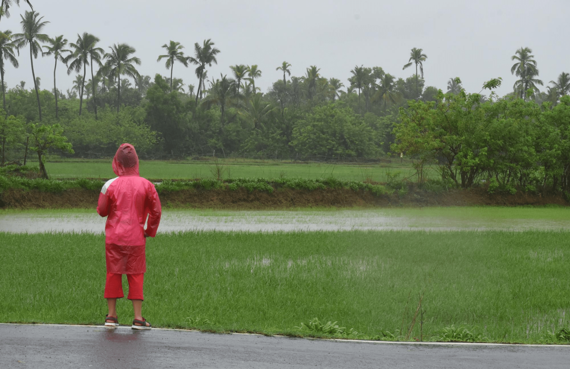 bali weather in january