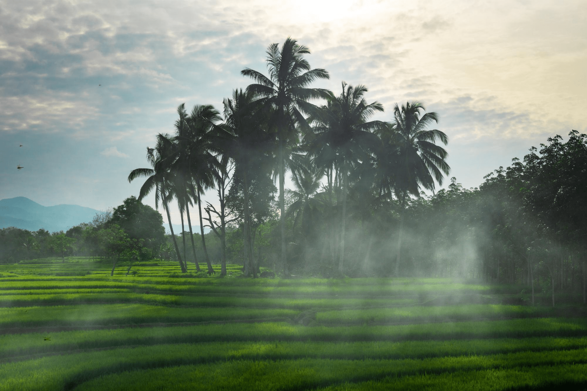 bali weather in november
